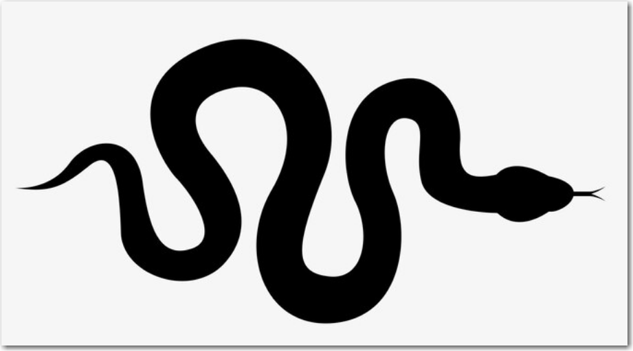 A snake in the desert in the Oregon Badlands.